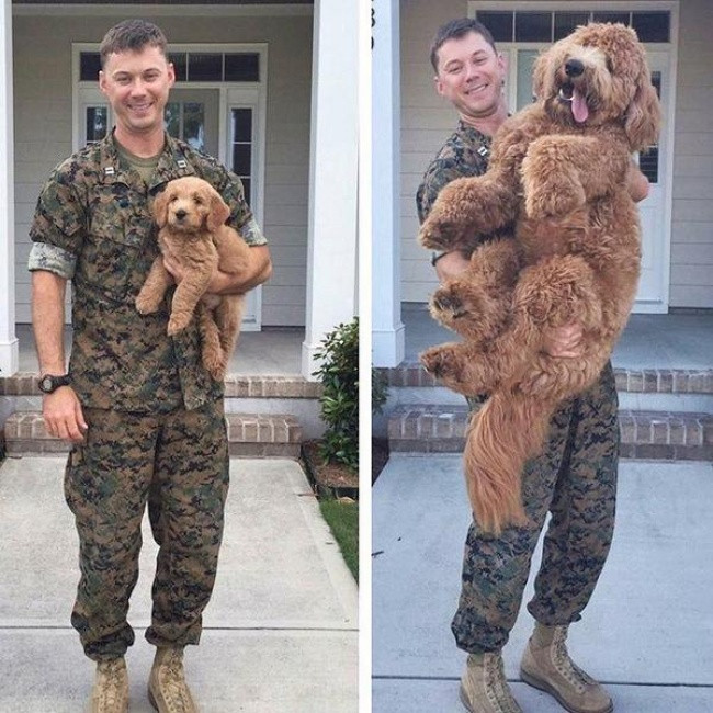 15 pictures show nothing is forever before time Picture 13