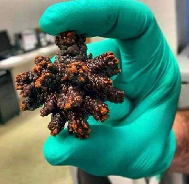 15 pictures show nothing is forever before time Picture 15