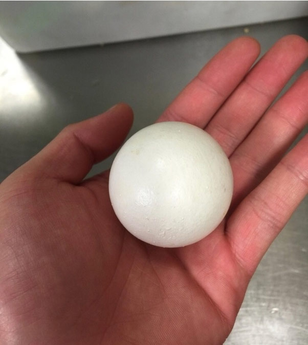 15 strange images showing the diversity of nature, sometimes also unexplained by science Picture 9