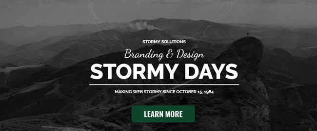 15 Versatile WordPress Theme for web designers Picture 15