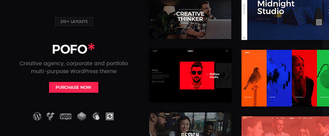 15 Versatile WordPress Theme for web designers Picture 8
