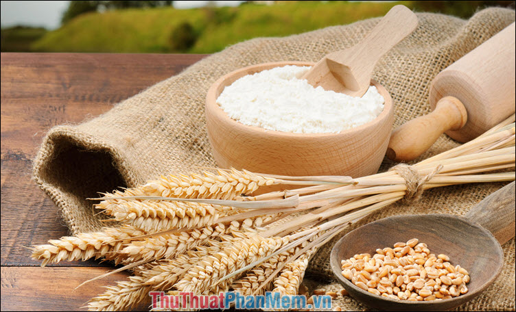 15 ways to effectively kill ants Picture 10