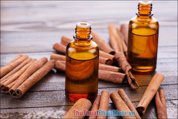 15 ways to effectively kill ants Picture 12