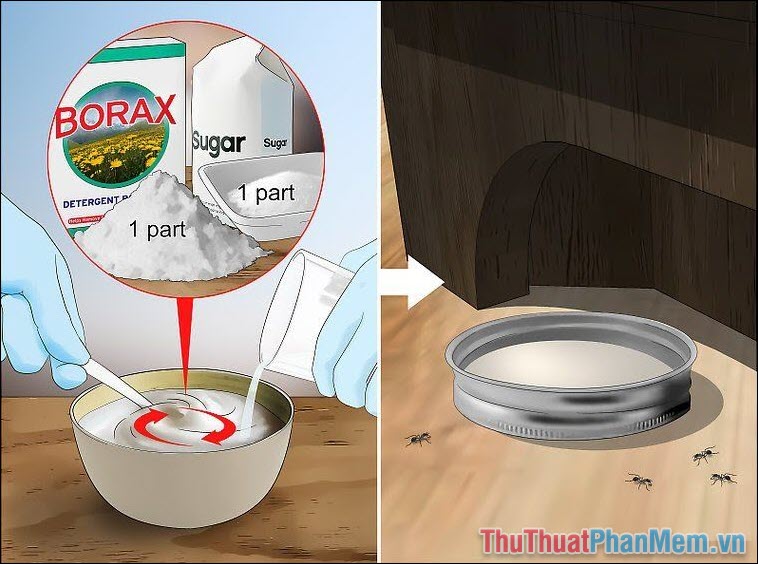 15 ways to effectively kill ants Picture 16