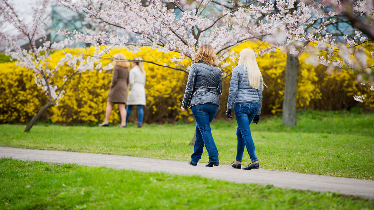 16 habits need to practice immediately to stimulate thinking and brain Picture 5