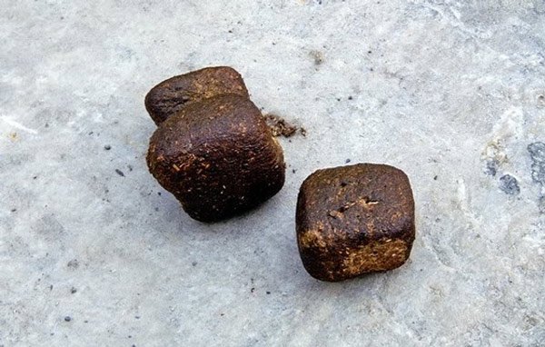 16 interesting facts that are hard to find on Google Picture 7