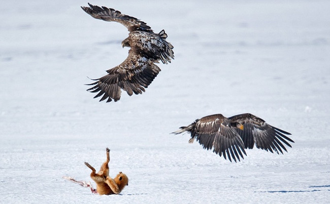 16 lessons for business people, lesson 15 must be startling Picture 3