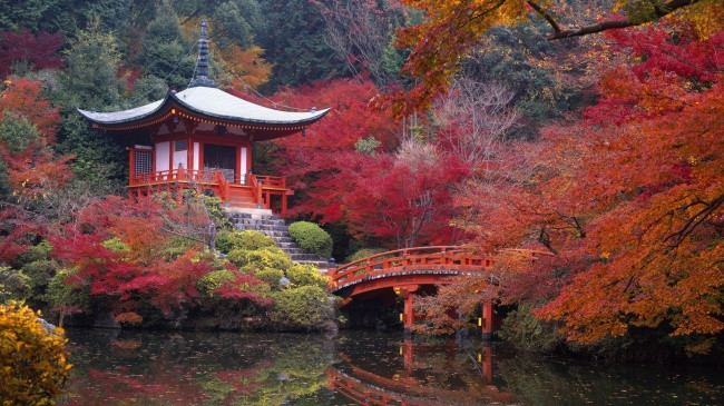 16 lessons that changed lives after only one year living in Japan Picture 6