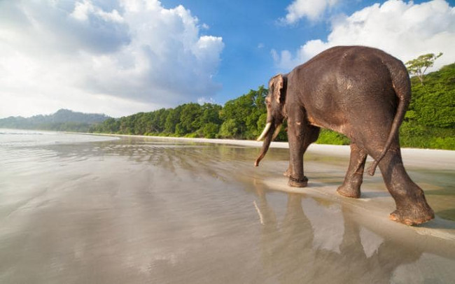 16 things to see and do when traveling to India Picture 14