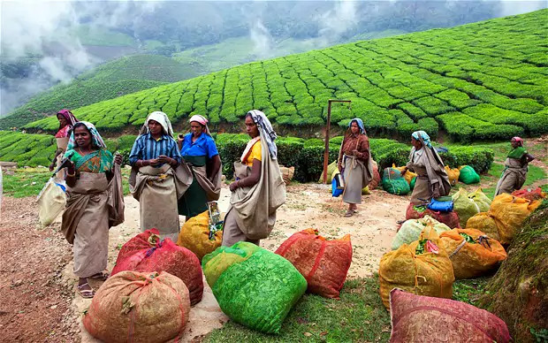 16 things to see and do when traveling to India Picture 16