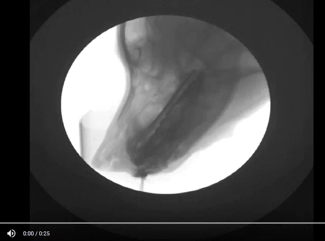 17 animations help you understand how the world around us operates? Picture 7