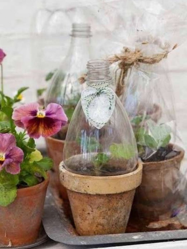 17 ideas of reusing super creative plastic bottles you may not know Picture 12
