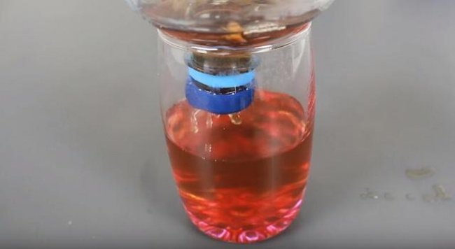 17 ideas of reusing super creative plastic bottles you may not know Picture 8