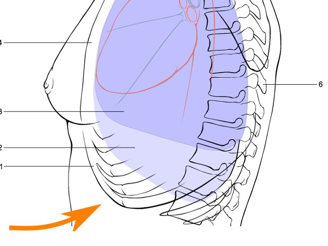 17 important survival skills you need to know to save yourself Picture 6