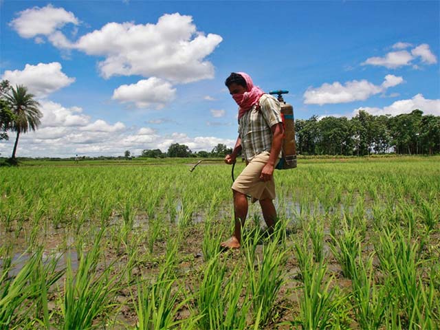 17 signs that the 6th great extinction - the nightmare of humanity is about to sweep through the earth Picture 24