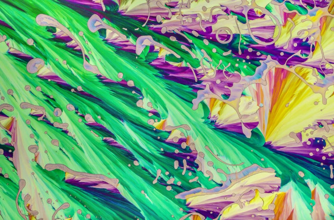 17 stunning photographs taken under a microscope reveal a whole new world Picture 13