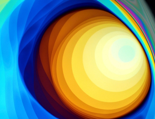 17 stunning photographs taken under a microscope reveal a whole new world Picture 5