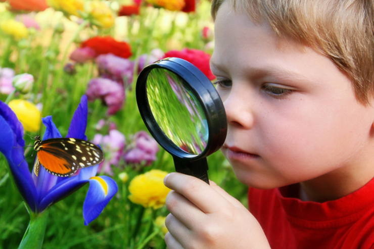 18 characteristics confirmed by science are signs of smart people Picture 7