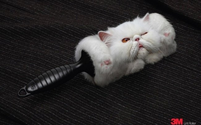 18 extremely creative advertising ideas that impress at first sight Picture 13