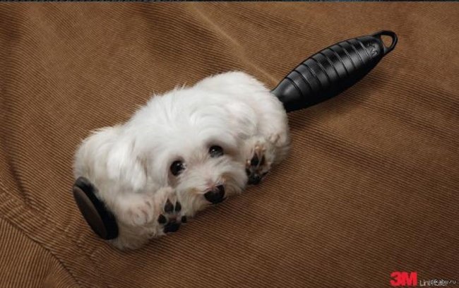 18 extremely creative advertising ideas that impress at first sight Picture 15