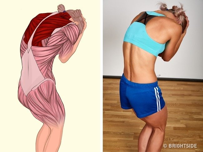 18 simple movements help stretch muscles in each position on the body Picture 10