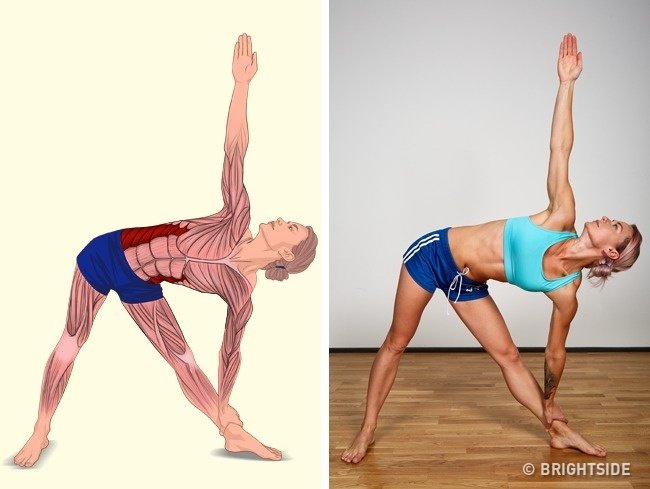 18 simple movements help stretch muscles in each position on the body Picture 11