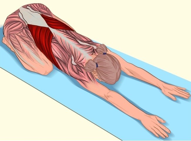 18 simple movements help stretch muscles in each position on the body Picture 3