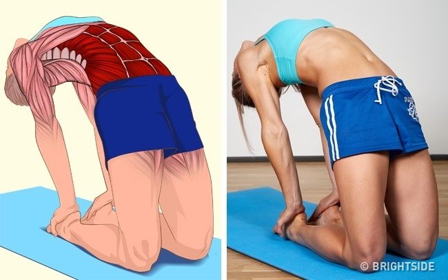 18 simple movements help stretch muscles in each position on the body Picture 5