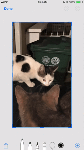 18 tips for screen capture tool on iOS 11 you should not ignore Picture 10