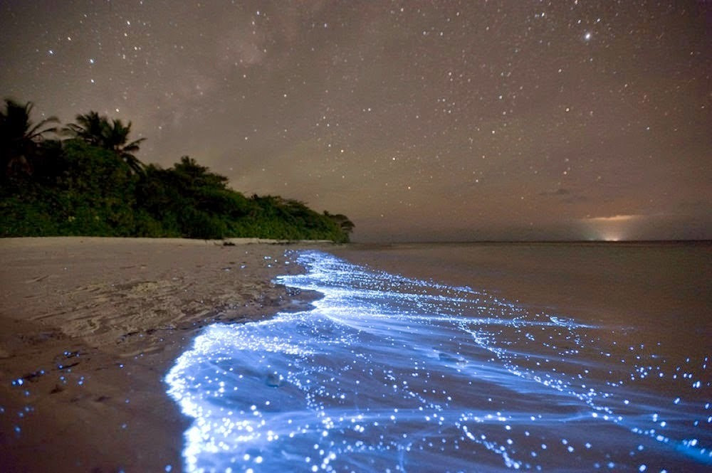 19 beautiful pictures to 'suffocate' make you think you are on another planet, not Earth Picture 19