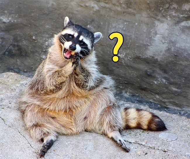 19 familiar phenomenon that everyone can see but 'lazy to ask Google doctor' why Picture 11