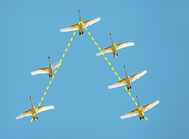 19 familiar phenomenon that everyone can see but 'lazy to ask Google doctor' why Picture 12