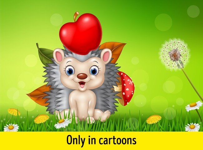 19 familiar phenomenon that everyone can see but 'lazy to ask Google doctor' why Picture 13