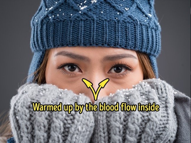 19 familiar phenomenon that everyone can see but 'lazy to ask Google doctor' why Picture 7