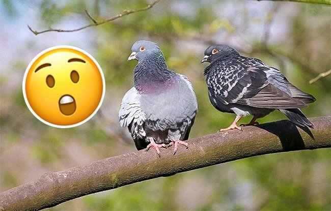 19 familiar phenomenon that everyone can see but 'lazy to ask Google doctor' why Picture 9