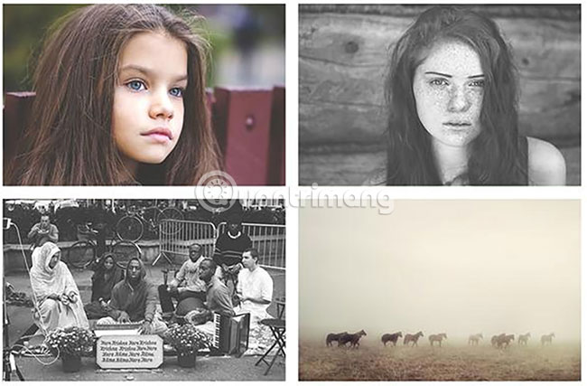 19 free Photoshop Action download sites Picture 9