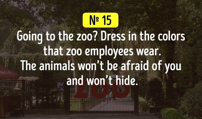 19 interesting psychological tips to make life easier Picture 5