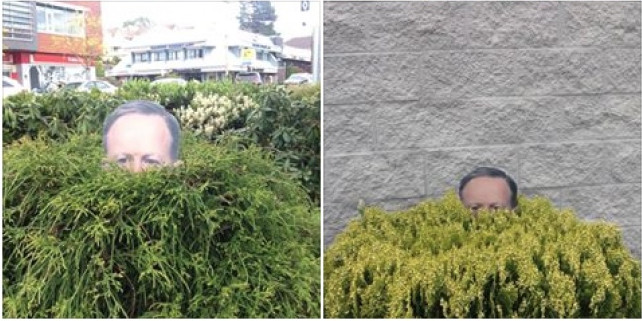 19 quirky ideas that make viewers distorted Picture 14