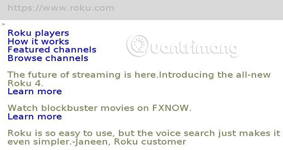 2 best Roku web browsers Picture 2