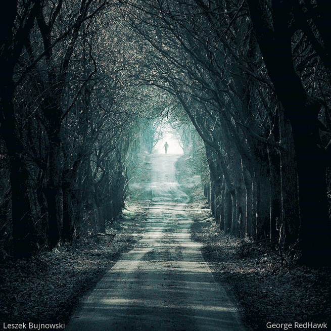 20 beautiful and mesmerizing GIF images to help you inspire creativity Picture 17