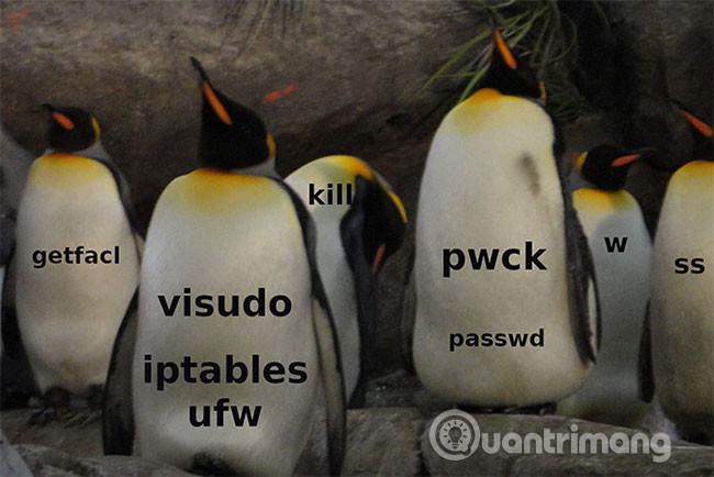 20+ essential Linux security commands Picture 1