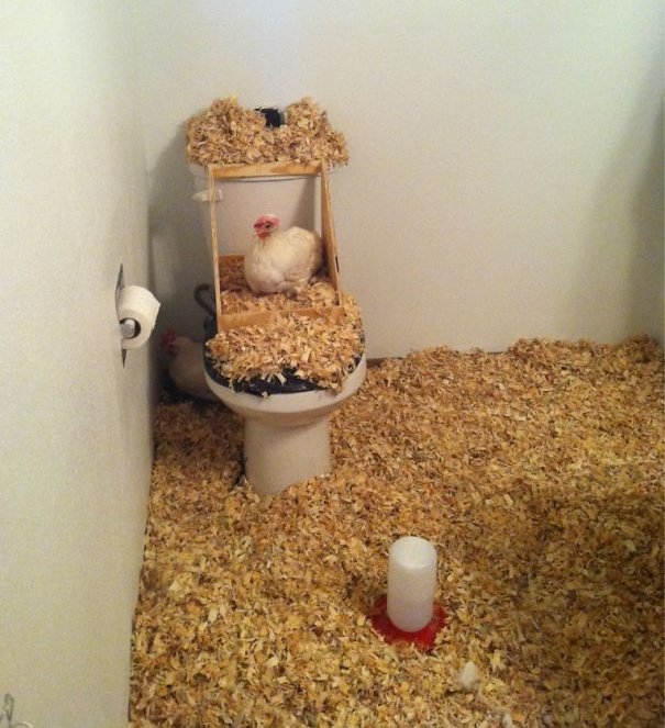 20+ images show that roommates are always the most dangerous kid on the planet Picture 30