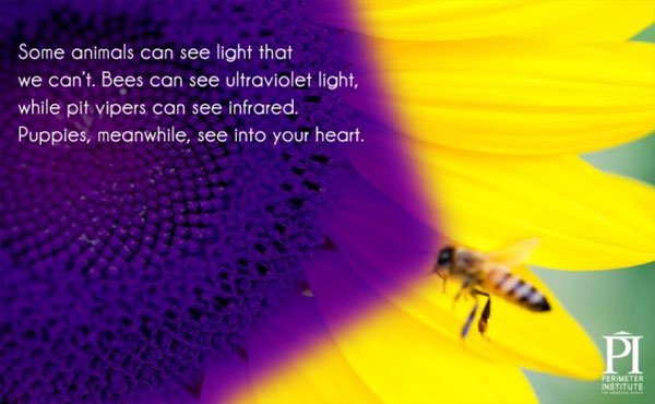 20 interesting facts about light you may not know Picture 10