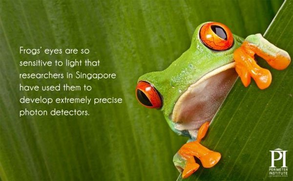20 interesting facts about light you may not know Picture 13