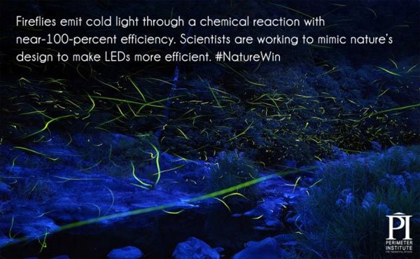 20 interesting facts about light you may not know Picture 15