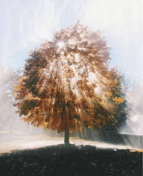 20+ interesting photos were created by coincidence that made you surprised and surprised Picture 11