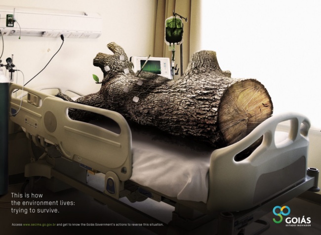 20 most impressive advertising ideas on social networks in 2016 Picture 18