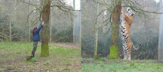 20 objects with huge size make humans become tiny when standing next to Picture 10