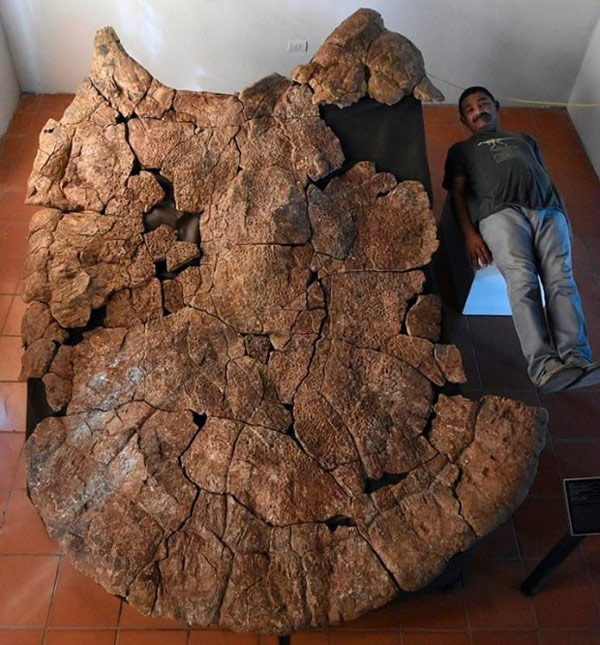 20 objects with huge size make humans become tiny when standing next to Picture 9