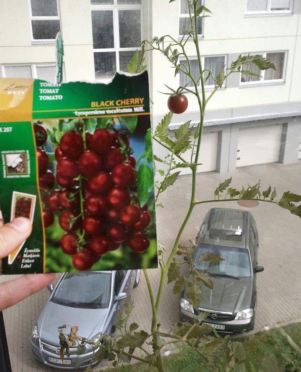 20+ people who are utterly unlucky in eating Picture 26